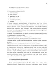 Viešųjų organizacijų valdymas 4 puslapis