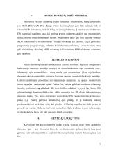 MS Access: administraciniai teisės pažeidimai 4 puslapis