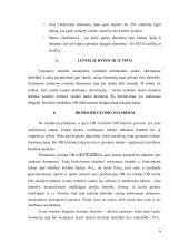 MS Access: administraciniai teisės pažeidimai 5 puslapis