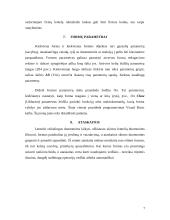 MS Access: administraciniai teisės pažeidimai 6 puslapis