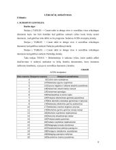 MS Access: administraciniai teisės pažeidimai 7 puslapis