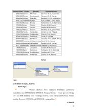 MS Access: administraciniai teisės pažeidimai 9 puslapis
