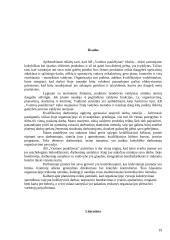Materialaus produkto darymo proceso valdymo praktika: mėsos perdirbimo įmonė AB "Varėnos paukštynas" 19 puslapis