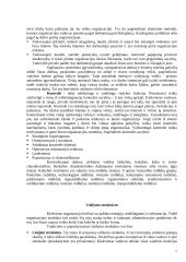 Materialaus produkto darymo proceso valdymo praktika: mėsos perdirbimo įmonė AB "Varėnos paukštynas" 7 puslapis