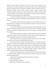 Žemės sklypų formavimas ir pertvarkymas 13 puslapis