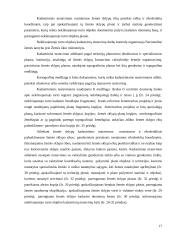 Žemės sklypų formavimas ir pertvarkymas 17 puslapis