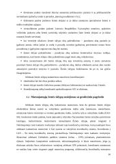 Žemės sklypų formavimas ir pertvarkymas 20 puslapis