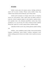 Intelektas ir sėkmė mokykloje bei profesinėje veikloje 13 puslapis