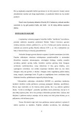 Intelektas ir sėkmė mokykloje bei profesinėje veikloje 3 puslapis