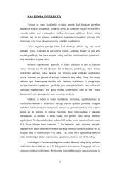Intelektas ir sėkmė mokykloje bei profesinėje veikloje 5 puslapis