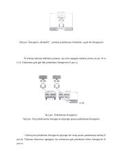 Siloso gamybos technologijos ir mašinos 11 puslapis