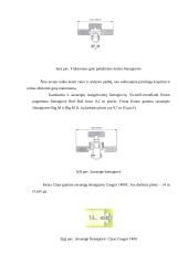 Siloso gamybos technologijos ir mašinos 12 puslapis