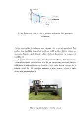 Siloso gamybos technologijos ir mašinos 8 puslapis