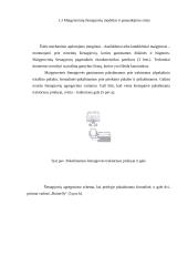 Siloso gamybos technologijos ir mašinos 10 puslapis