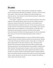 Teisės teorija ir principai 20 puslapis