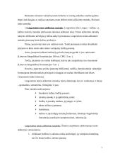 Teisės teorija ir principai 7 puslapis