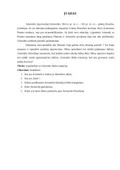 Susipažinimas su Aristotelio būties samprata 2 puslapis