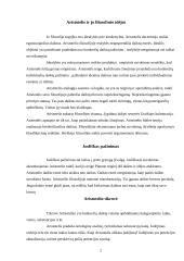 Aristotelis ir jo keliami klausimai 2 puslapis