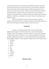 Aristotelis ir jo keliami klausimai 5 puslapis