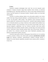Asmenybės samprata psichologijoje 2 puslapis