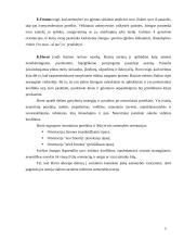 Asmenybės samprata psichologijoje 5 puslapis