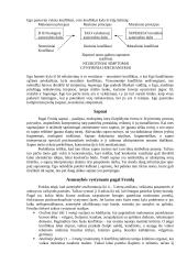 Asmenybės teorijos 3 puslapis