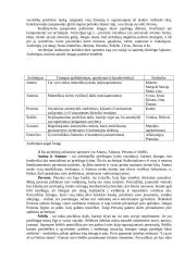 Asmenybės teorijos 5 puslapis