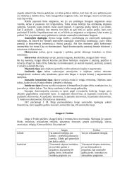 Asmenybės teorijos 6 puslapis