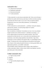 Civilinės atsakomybės taikymo sąlygos 2 puslapis