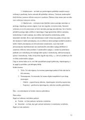 Civilinės atsakomybės taikymo sąlygos 12 puslapis