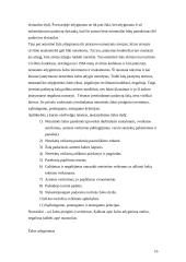 Civilinės atsakomybės taikymo sąlygos 16 puslapis