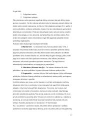 Civilinės atsakomybės taikymo sąlygos 17 puslapis