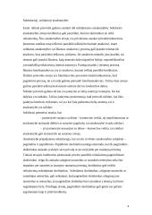 Civilinės atsakomybės taikymo sąlygos 4 puslapis