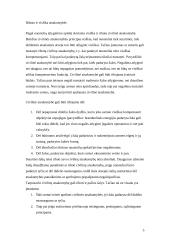 Civilinės atsakomybės taikymo sąlygos 5 puslapis