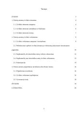 Fizinių asmenų veiksnumas ir teistumas 2 puslapis