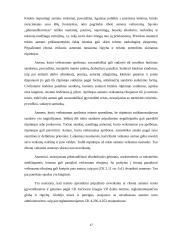 Fizinių asmenų veiksnumas ir teistumas 17 puslapis