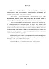 Fizinių asmenų veiksnumas ir teistumas 19 puslapis