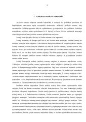 Juridinių asmenų samprata 2 puslapis