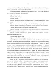 Juridinių asmenų samprata 13 puslapis