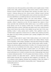 Juridinių asmenų samprata 3 puslapis