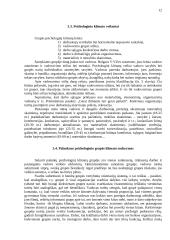 Klimatas grupėje 12 puslapis
