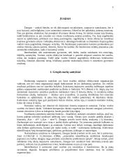 Klimatas grupėje 3 puslapis