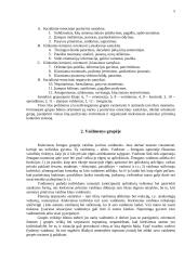 Klimatas grupėje 5 puslapis