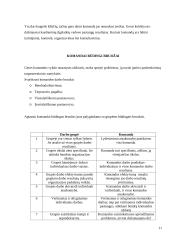 Komandų tipai ir stadijos komandų formavime. Komandai būdingi bruožai 11 puslapis