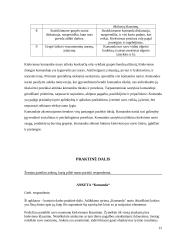 Komandų tipai ir stadijos komandų formavime. Komandai būdingi bruožai 12 puslapis