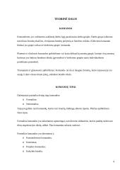 Komandų tipai ir stadijos komandų formavime. Komandai būdingi bruožai 4 puslapis