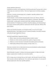 Komandų tipai ir stadijos komandų formavime. Komandai būdingi bruožai 5 puslapis