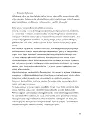 Komandų tipai ir stadijos komandų formavime. Komandai būdingi bruožai 10 puslapis