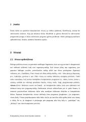 Kompiuterių virusai ir antivirusinės programos 3 puslapis
