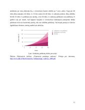 Pensijiniai fondai Lietuvoje: valdymo problemos ir įtaka valstybės finansams 10 puslapis
